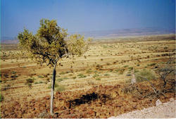Landschaft Damaraland