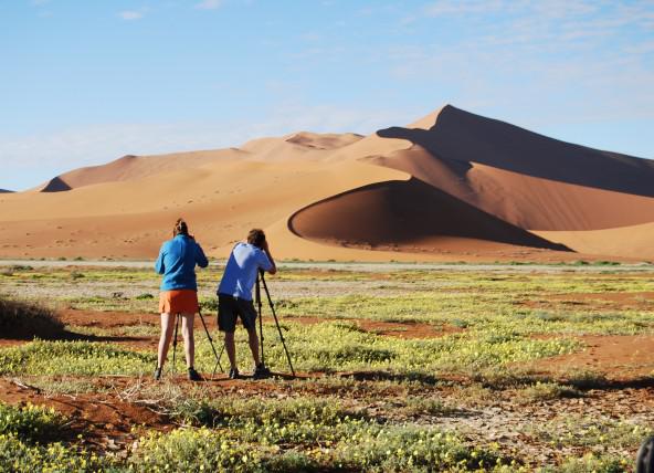 Sossusvlei Dune Picture