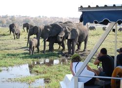 Chobe Boat Cruise