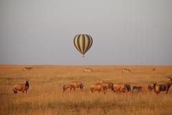Masai Mara Ballon Safari