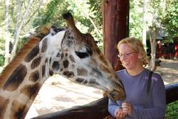 Nairobi Giraffe Centre