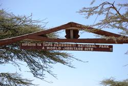 Serengeti Entrance