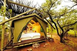 Taleni Etosha Tent