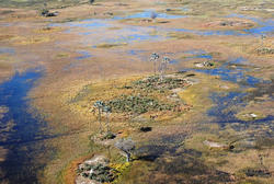 Okavango Delta Flight