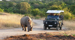 Hluhluwe Rhino Game Drive